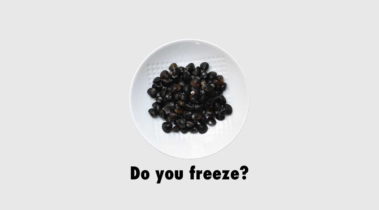 シジミを冷凍保存すべき理由イメージ